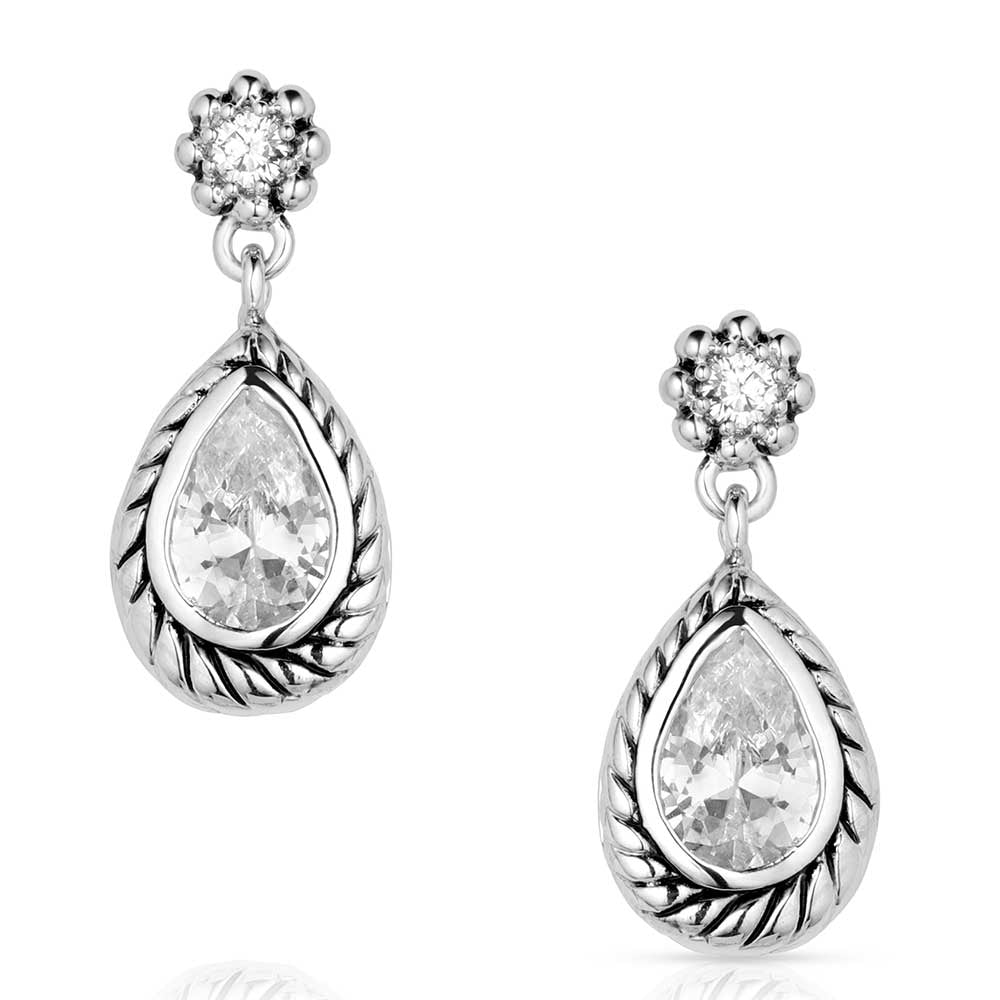 Leading Light Crystal Earrings ER5850