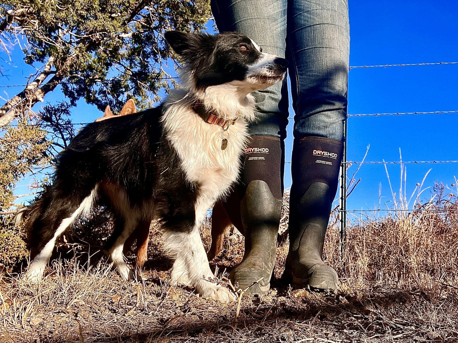 Dryshod/Muck Boots