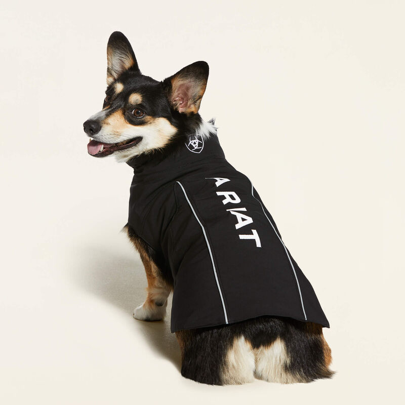 Ariat 10033013 - Logo Softshell Dog Jacket