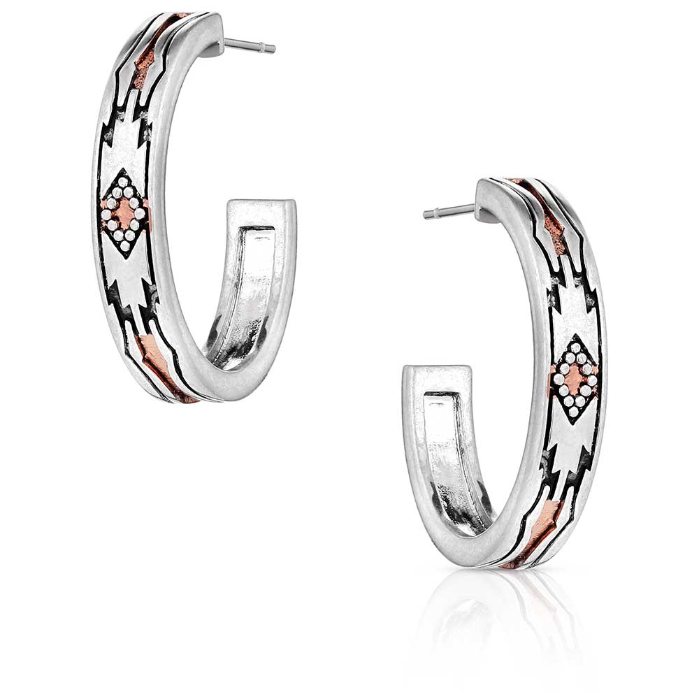 Montana Silversmith ER6114 - Western Sands Earring
