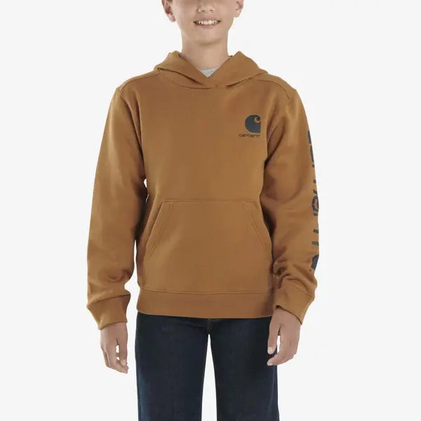 Boys carhartt hoodie best sale