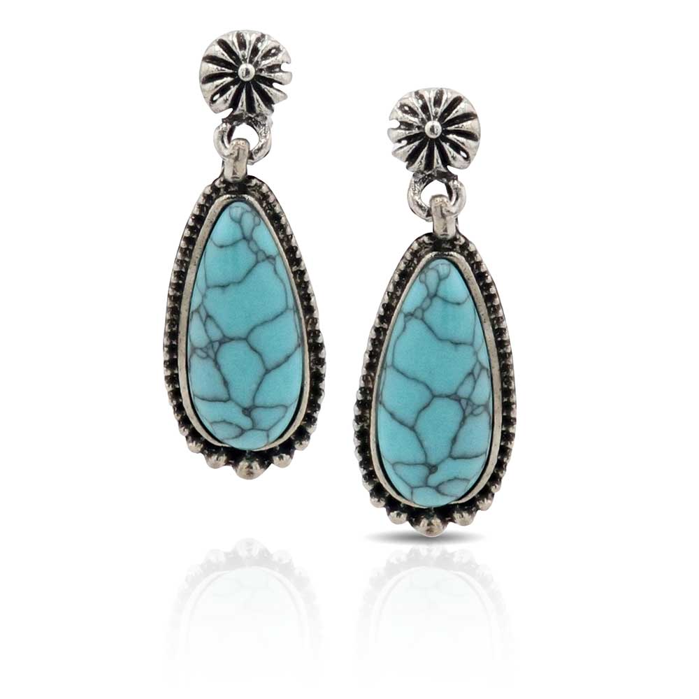 Blue Aster Turquoise Teardrop Attitude Earrings AER5447