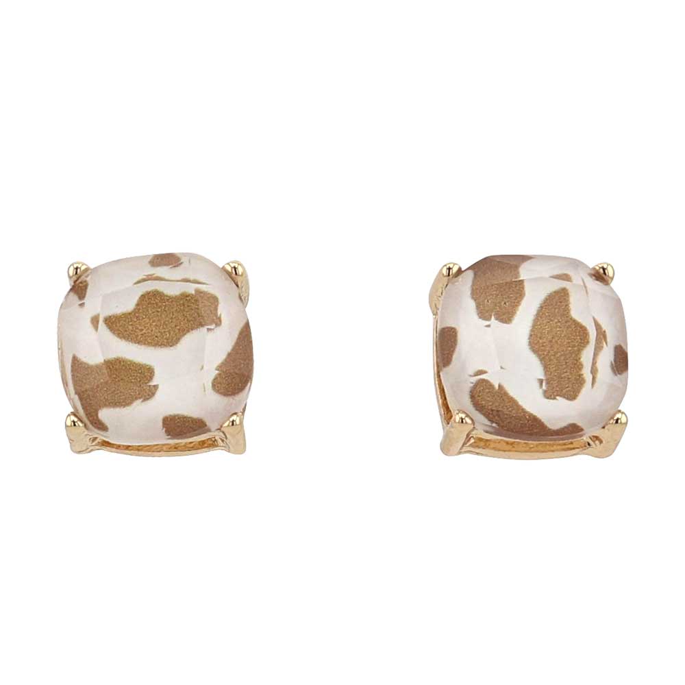 Ranch Style Attitude Earrings AER5937