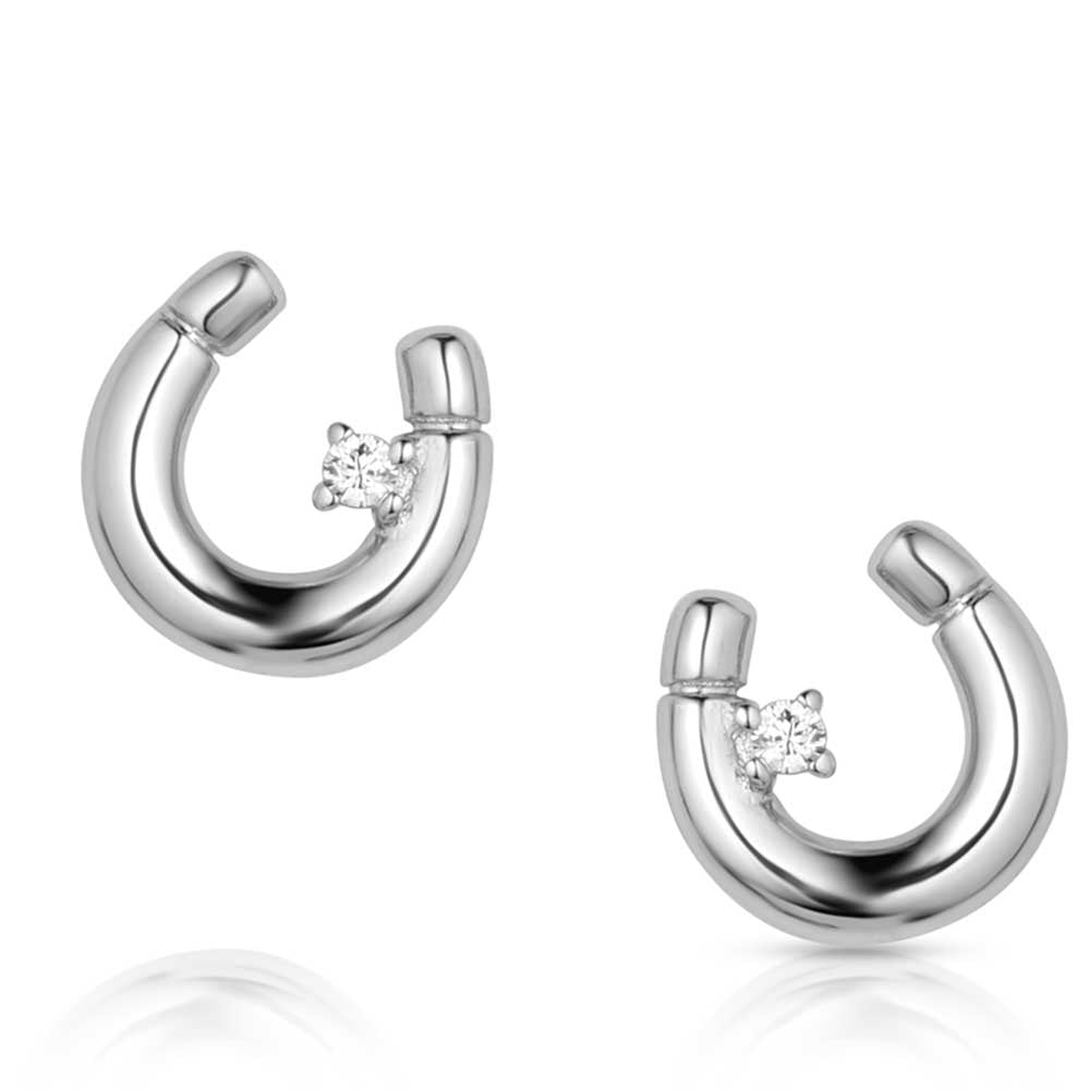 Little Light Horseshoe Earrings ER5867