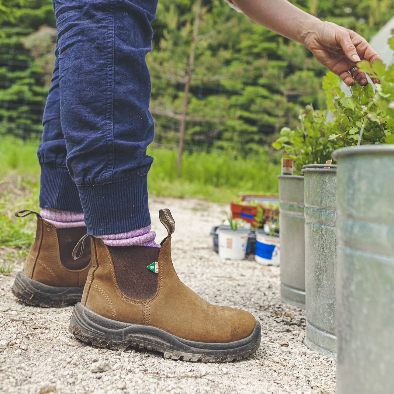 Blundstone 164 Crazy Horse Brown Work Safety Boots